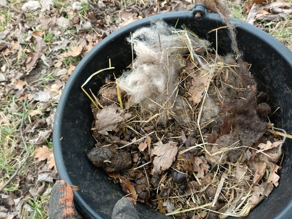 Schafkot und Rohwolle